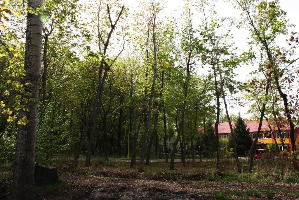 Otel Issyk-Kul Karakol Dış mekan fotoğraf