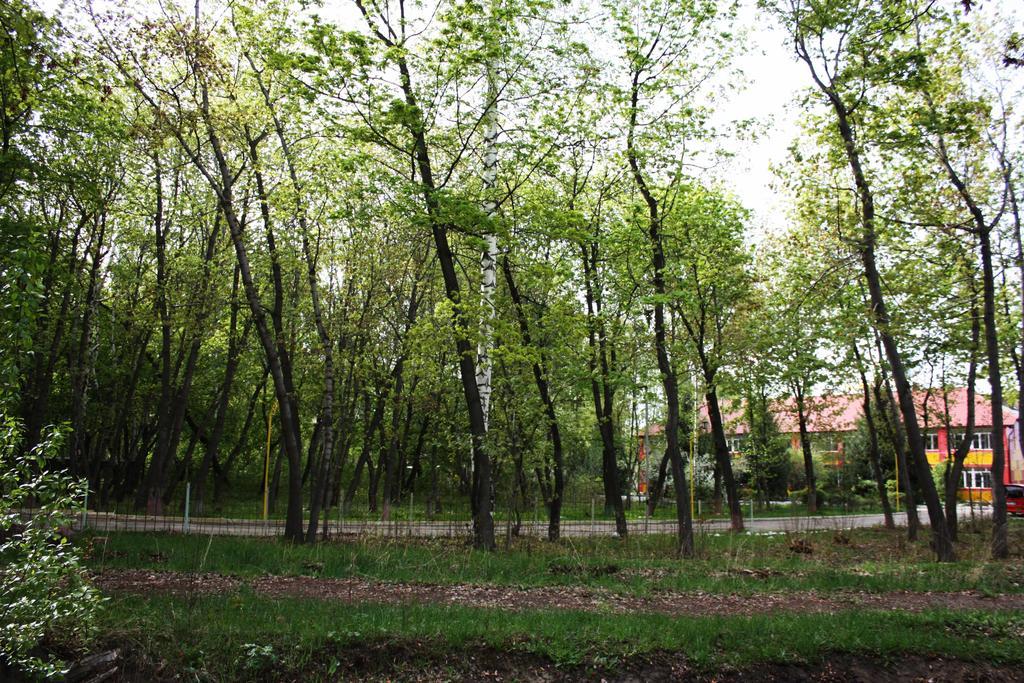 Otel Issyk-Kul Karakol Dış mekan fotoğraf